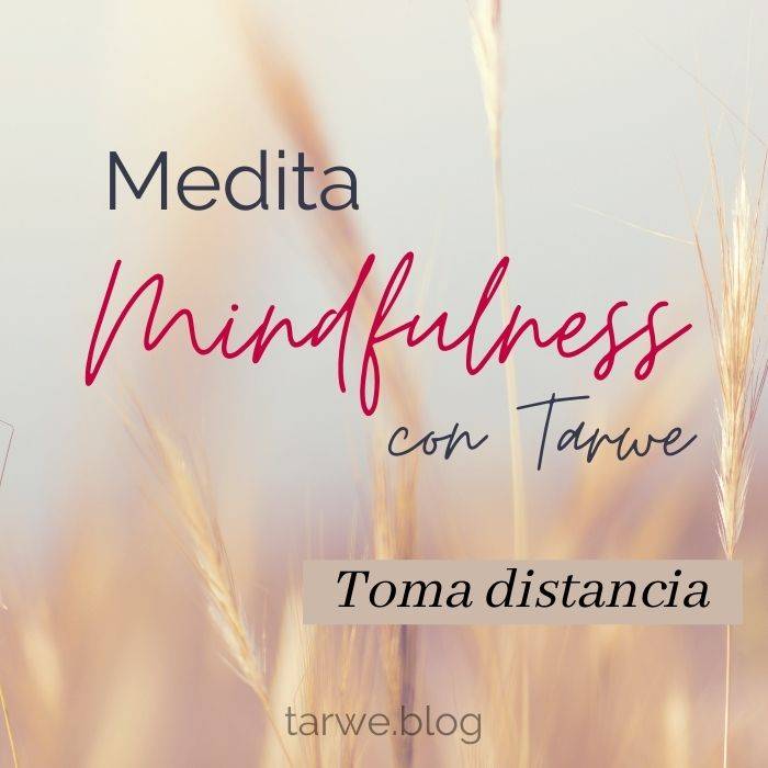 meditación mindfulness