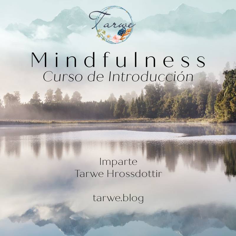 Curso de Introducción a Mindfulness