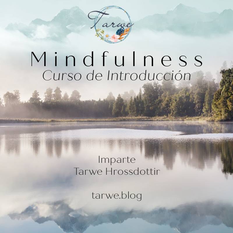 curso de introducción a mindfulness